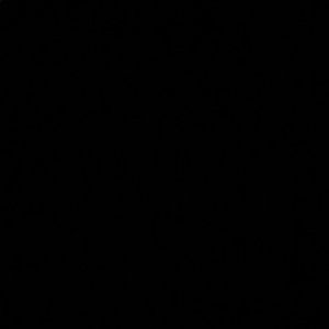 Meet your Posher, Jorge